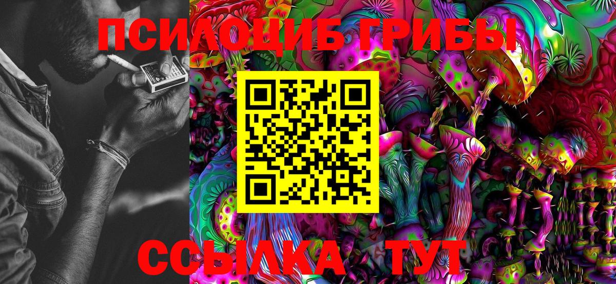 Галлюциногенные грибы Psilocybe Ртищево