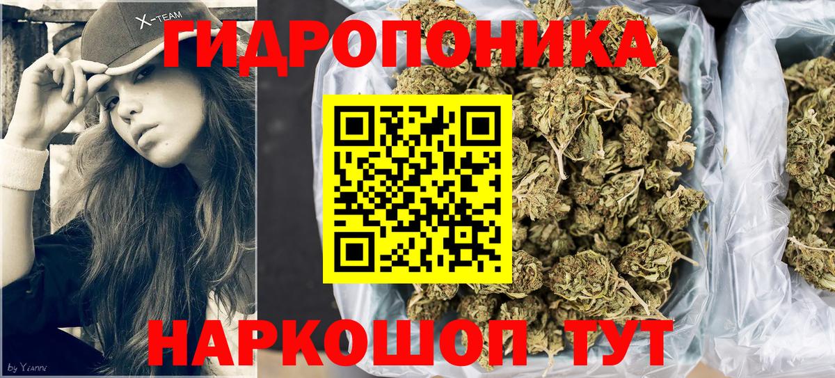 Конопля марихуана Ртищево